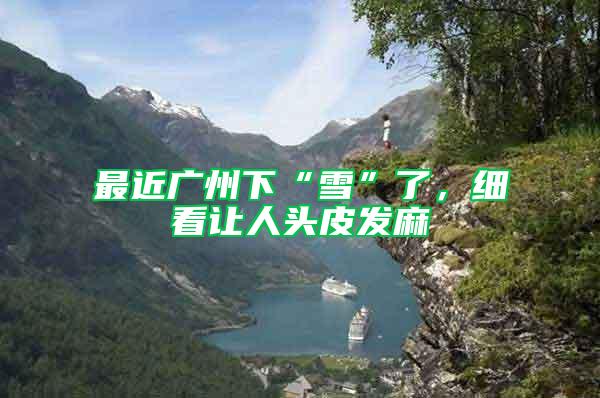 最近廣州下“雪”了，細看讓人頭皮發(fā)麻