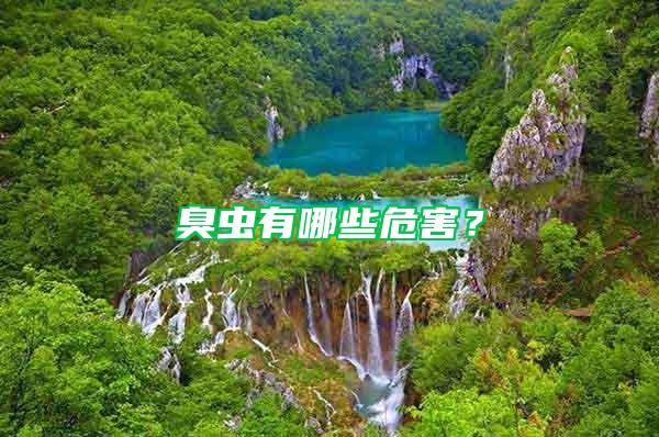 臭蟲有哪些危害？