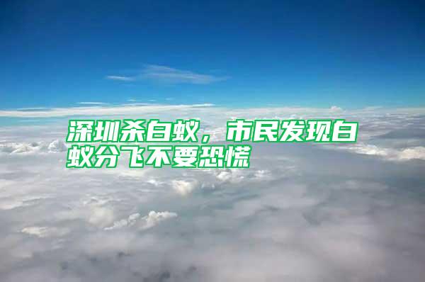 深圳殺白蟻，市民發(fā)現(xiàn)白蟻分飛不要恐慌