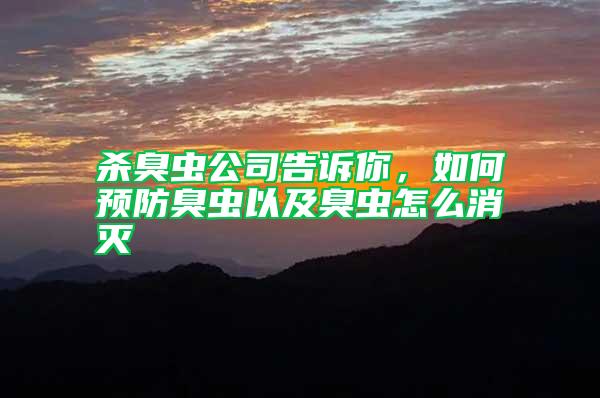 殺臭蟲公司告訴你，如何預防臭蟲以及臭蟲怎么消滅