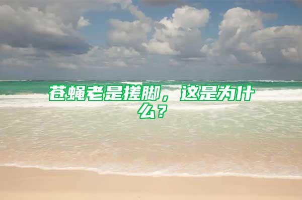 蒼蠅老是搓腳，這是為什么？