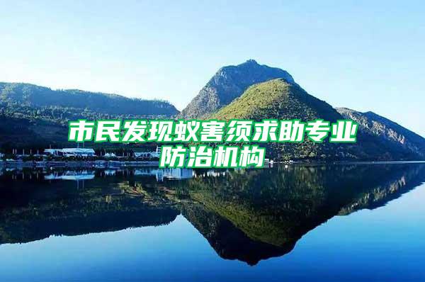 市民發現蟻害須求助專業防治機構