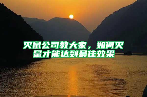 滅鼠公司教大家，如何滅鼠才能達到最佳效果