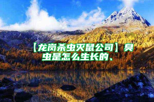 【龍崗殺蟲滅鼠公司】臭蟲是怎么生長的、