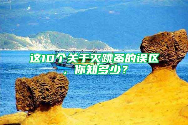 這10個關于滅跳蚤的誤區，你知多少？