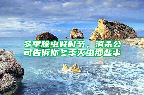 冬季除蟲好時節，消殺公司告訴你冬季滅蟲那些事