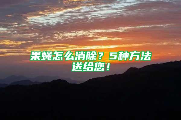 果蠅怎么消除？5種方法送給您！