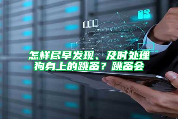 怎樣盡早發現、及時處理狗身上的跳蚤？跳蚤會