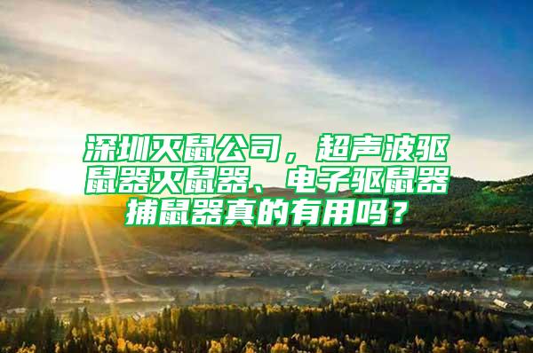 深圳滅鼠公司，超聲波驅鼠器滅鼠器、電子驅鼠器捕鼠器真的有用嗎？