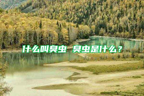 什么叫臭蟲 臭蟲是什么？