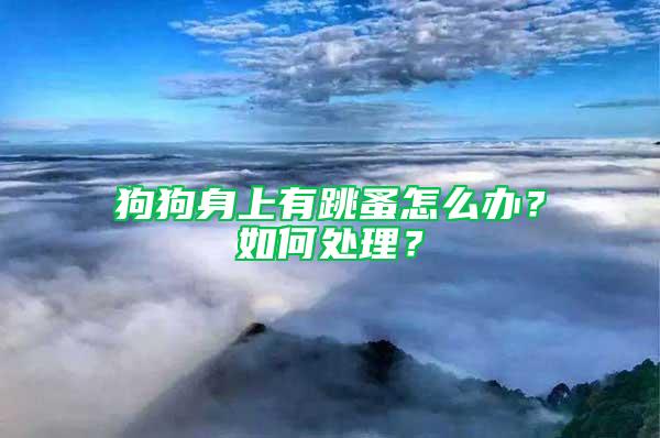 狗狗身上有跳蚤怎么辦？如何處理？
