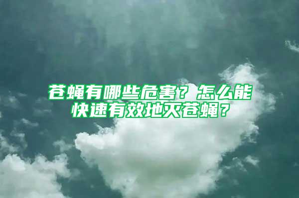 蒼蠅有哪些危害？怎么能快速有效地滅蒼蠅？