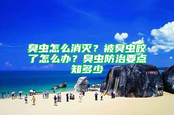 臭蟲怎么消滅？被臭蟲咬了怎么辦？臭蟲防治要點知多少
