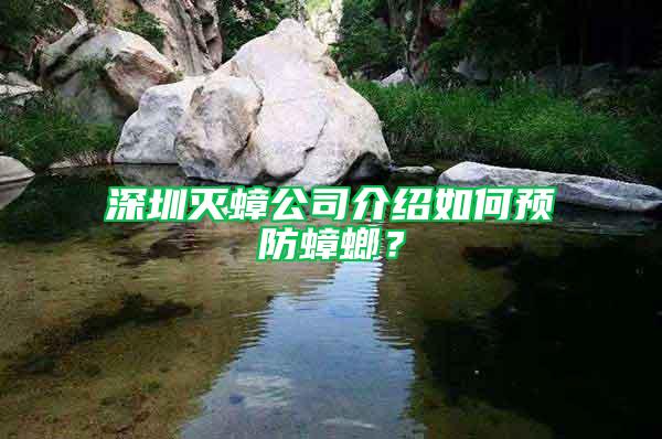 深圳滅蟑公司介紹如何預(yù)防蟑螂？