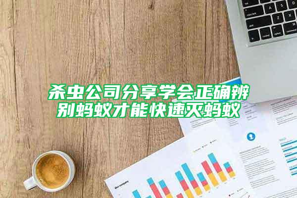 殺蟲(chóng)公司分享學(xué)會(huì)正確辨別螞蟻才能快速滅螞蟻