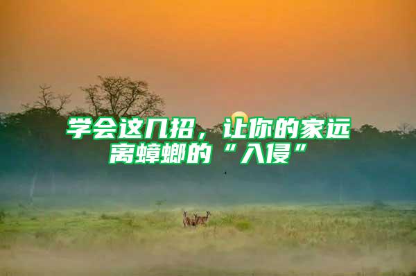 學會這幾招，讓你的家遠離蟑螂的“入侵”