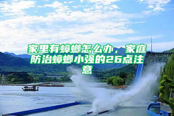 家里有蟑螂怎么辦，家庭防治蟑螂小強的26點注意
