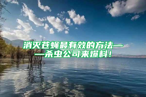 消滅蒼蠅最有效的方法——?dú)⑾x公司來(lái)爆料！