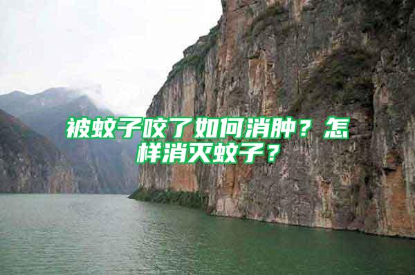 被蚊子咬了如何消腫？怎樣消滅蚊子？