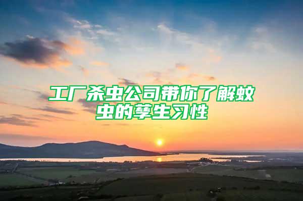工廠殺蟲公司帶你了解蚊蟲的孳生習性