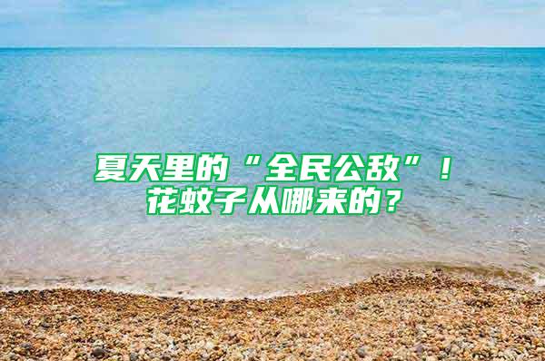 夏天里的“全民公敵”！花蚊子從哪來的？