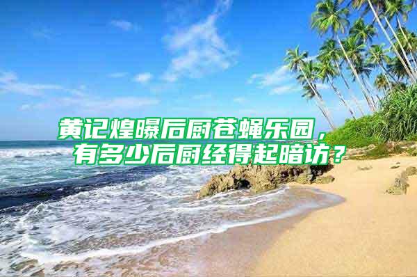 黃記煌曝后廚蒼蠅樂園， 有多少后廚經(jīng)得起暗訪？