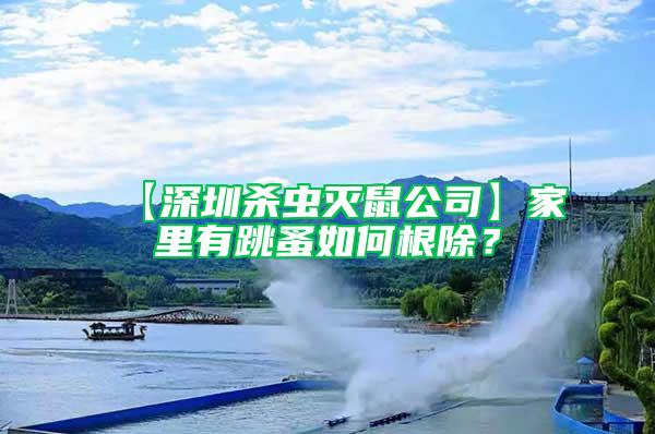 【深圳殺蟲(chóng)滅鼠公司】家里有跳蚤如何根除？