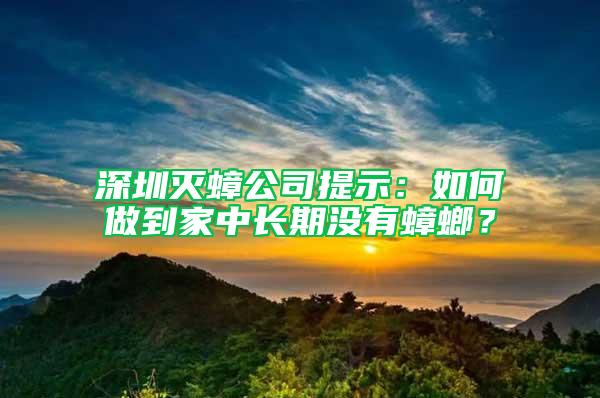 深圳滅蟑公司提示：如何做到家中長期沒有蟑螂？