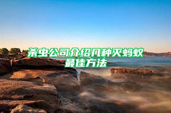 殺蟲公司介紹幾種滅螞蟻?zhàn)罴逊椒?/></p>
             <p style=