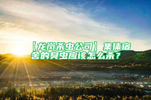 【龍崗殺蟲(chóng)公司】集體宿舍的臭蟲(chóng)應(yīng)該怎么殺？