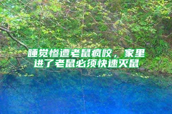 睡覺慘遭老鼠瘋咬，家里進了老鼠必須快速滅鼠