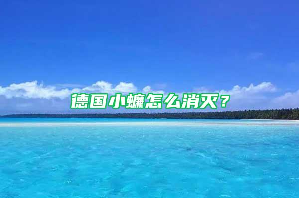 德國(guó)小蠊怎么消滅？
