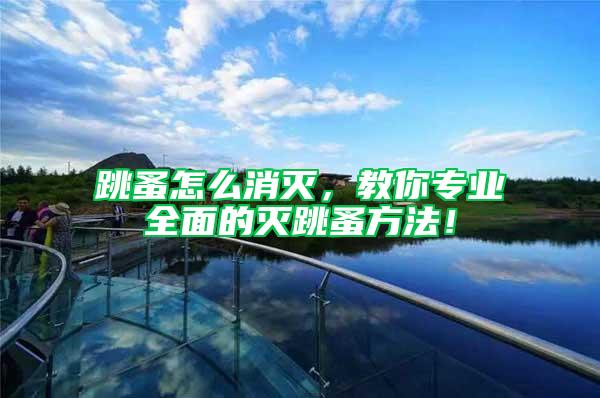 跳蚤怎么消滅，教你專業全面的滅跳蚤方法！