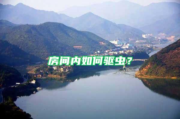 房間內如何驅蟲？