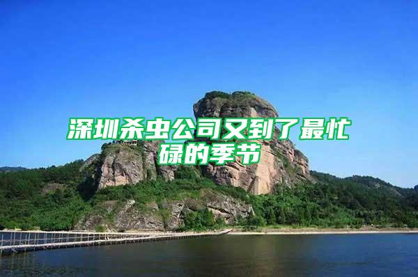 深圳殺蟲公司又到了最忙碌的季節