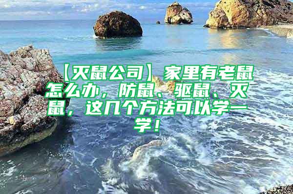 【滅鼠公司】家里有老鼠怎么辦，防鼠、驅(qū)鼠、滅鼠，這幾個方法可以學一學！