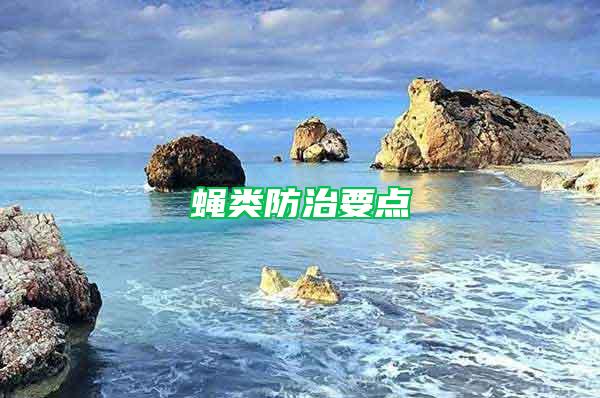 蠅類防治要點