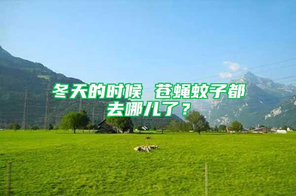 冬天的時(shí)候 蒼蠅蚊子都去哪兒了？