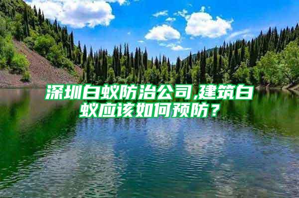 深圳白蟻防治公司,建筑白蟻應該如何預防？