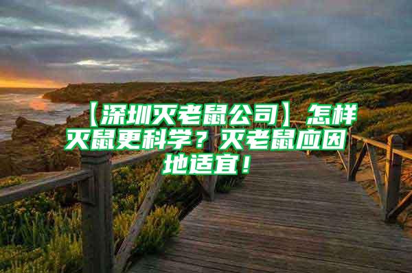 【深圳滅老鼠公司】怎樣滅鼠更科學(xué)？滅老鼠應(yīng)因地適宜！