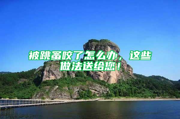 被跳蚤咬了怎么辦，這些做法送給您！