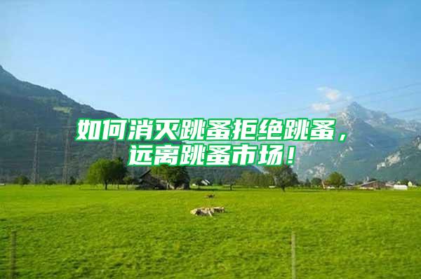 如何消滅跳蚤拒絕跳蚤，遠(yuǎn)離跳蚤市場(chǎng)！