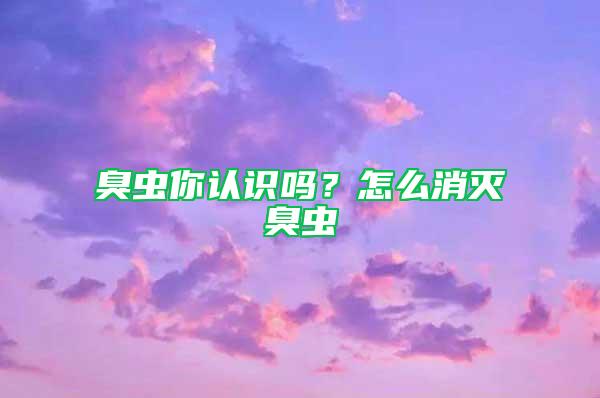 臭蟲(chóng)你認(rèn)識(shí)嗎？怎么消滅臭蟲(chóng)