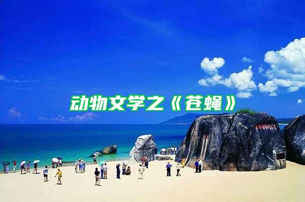 動物文學(xué)之《蒼蠅》