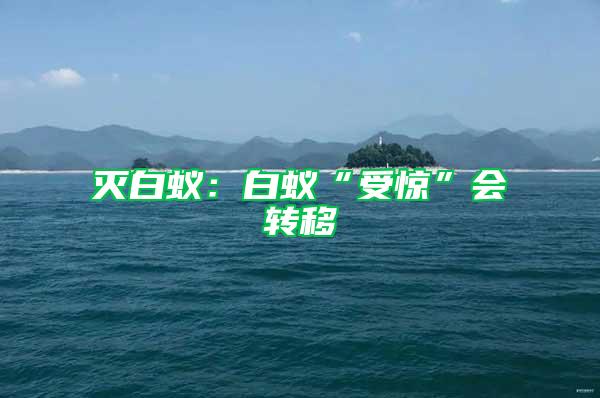 滅白蟻：白蟻“受驚”會(huì)轉(zhuǎn)移