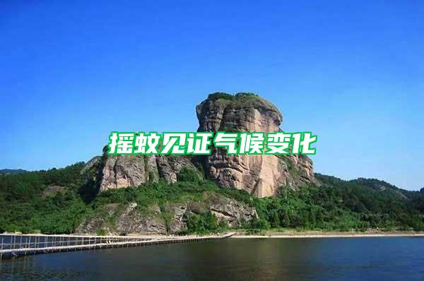 搖蚊見(jiàn)證氣候變化