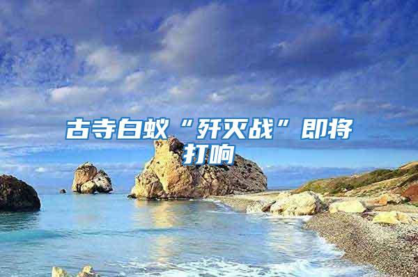 古寺白蟻“殲滅戰”即將打響