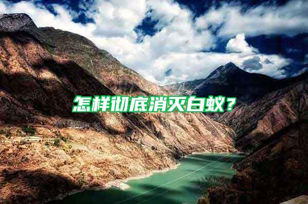 怎樣徹底消滅白蟻？