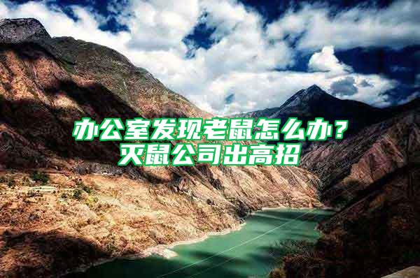 辦公室發(fā)現(xiàn)老鼠怎么辦？滅鼠公司出高招