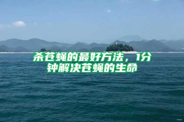 殺蒼蠅的最好方法，1分鐘解決蒼蠅的生命